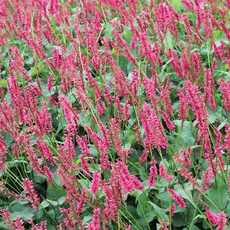 In With Outdoor Fireplace